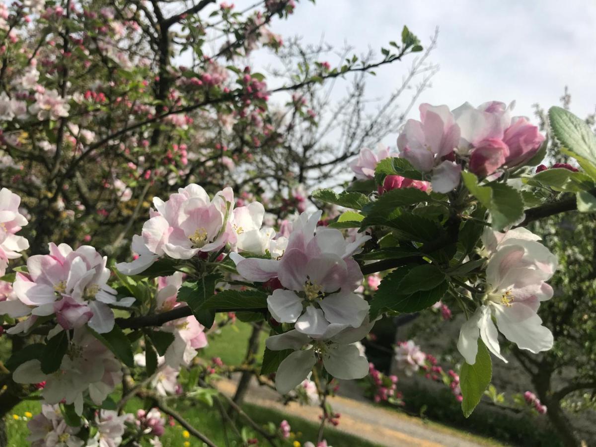 Normandia Villa Nonant Bagian luar foto